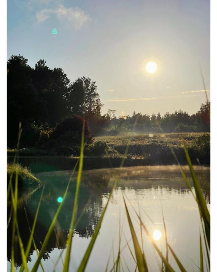 Brivdienu Maja Ezerkalni Myza Dzirtsiyems Buitenkant foto